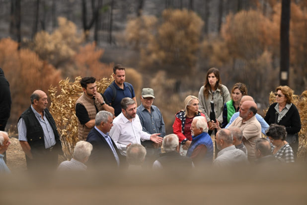 Νίκος Ανδρουλάκης