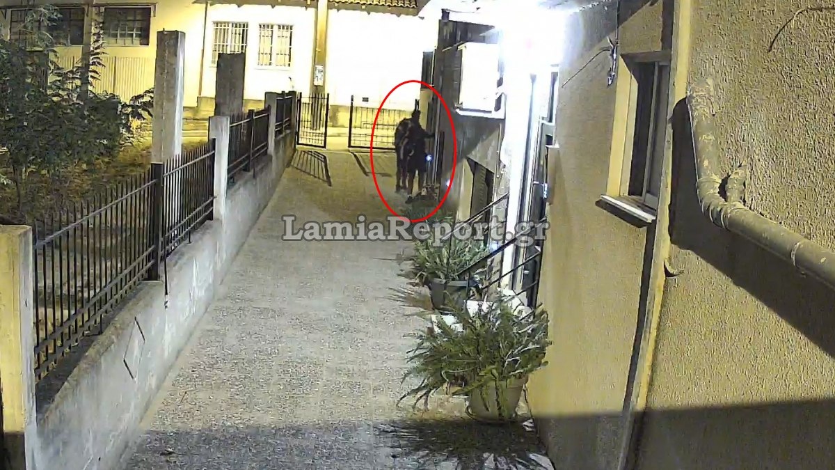 ΔΙΑΡΡΗΚΤΕΣ