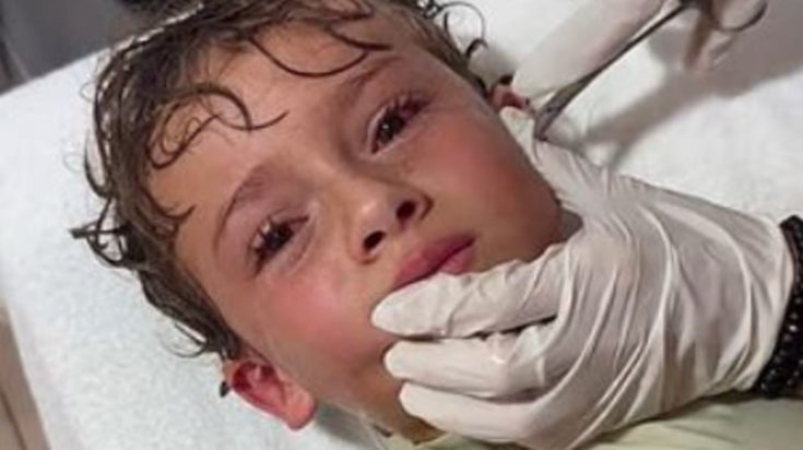 κάβουρας αυτί