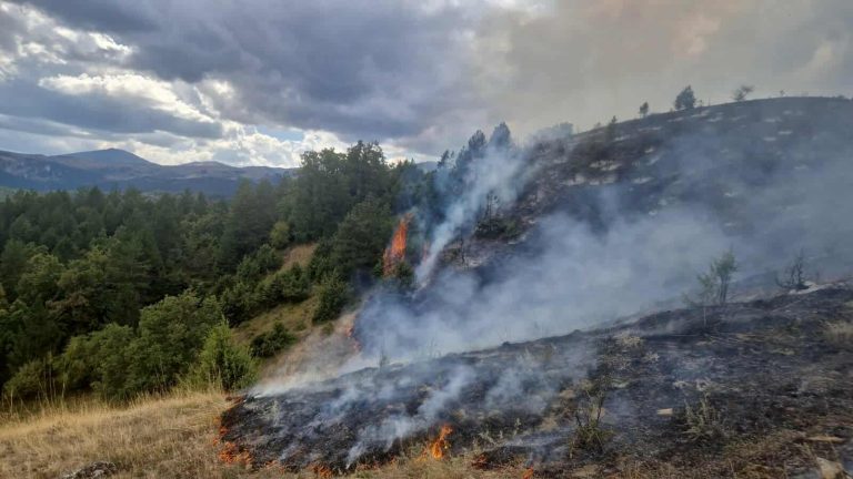 Φωτιά σε δασική έκταση στα Γρεβενά – Επιχειρούν και 2 εναέρια μέσα