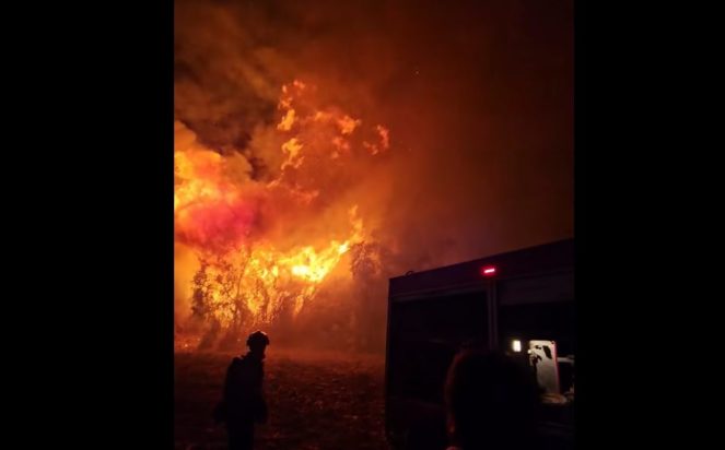 Φωτιά, Ηλεία