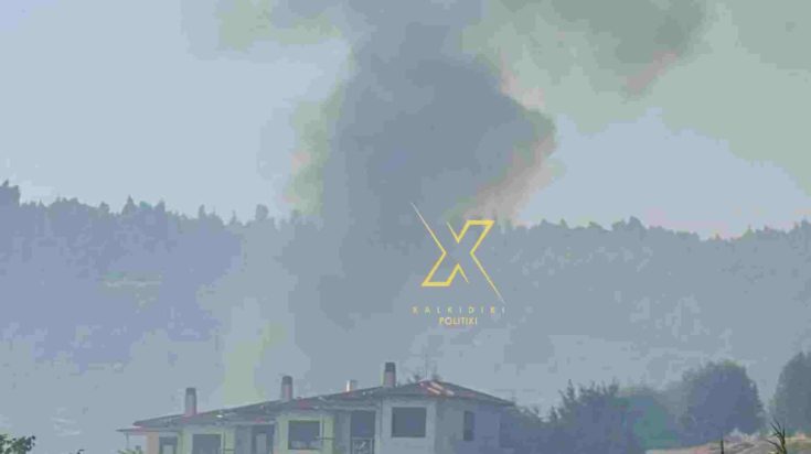 Φωτιά, Χαλκιδική