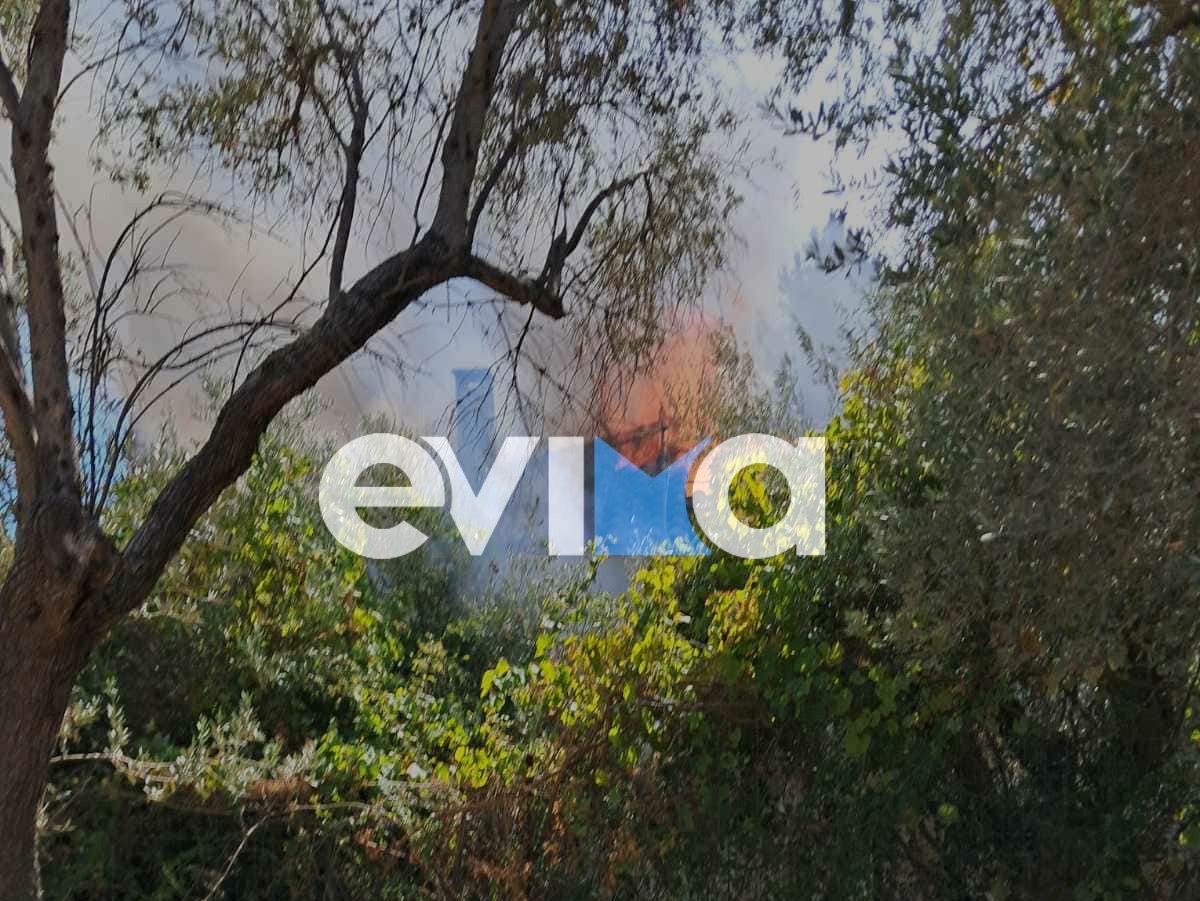 ΦΩΤΙΑ ΕΥΒΟΙΑ 