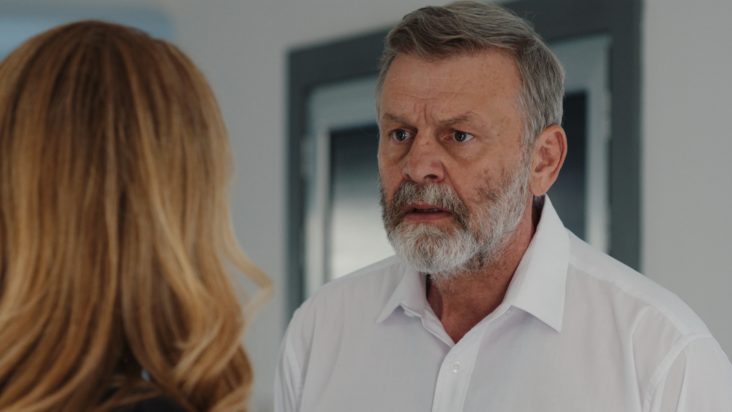 Η Γη της Ελιάς