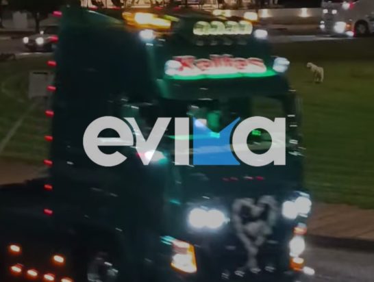 Εύβοια Γάμος