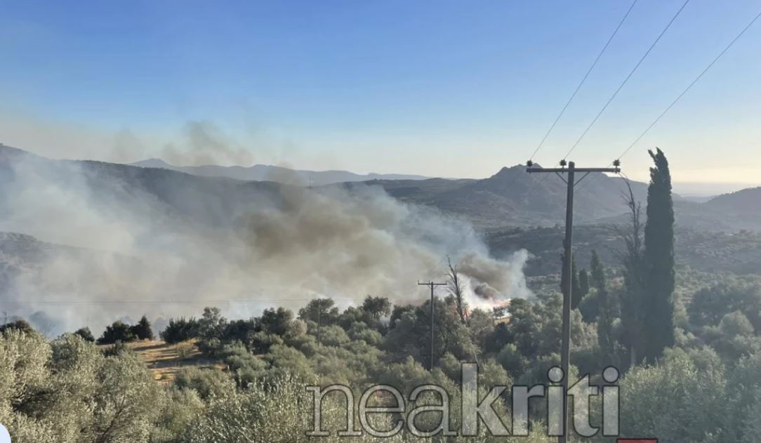 Ηράκλειο: Φωτιά σε γεωργική έκταση στη Νύβριτο – ΒΙΝΤΕΟ