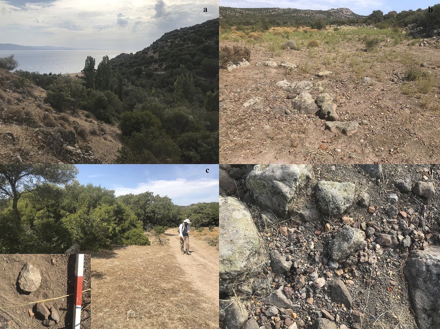 Φωτογραφία: Karahan G, Arslan N. A Key Palaeolithic Site Bridging Anatolia and the Aegean: Biber Deresi, Assos. European Journal of Archaeology. 2025;28(3):281-303. doi:10.1017/eaa.2025.10