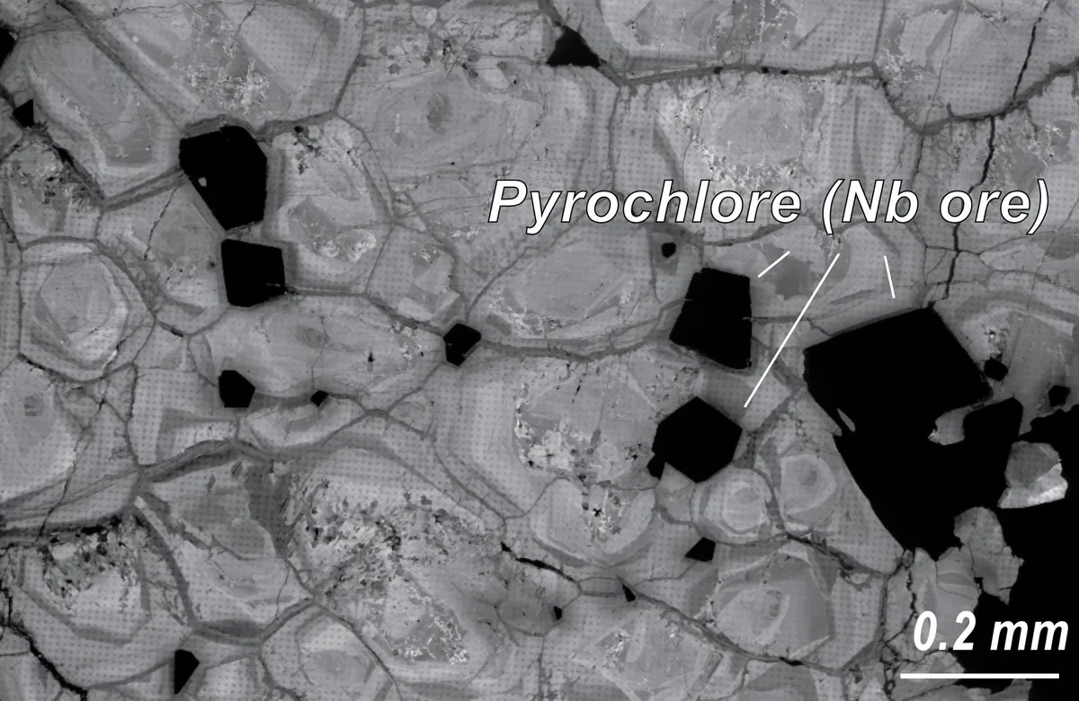 Μια κοντινή άποψη κρυστάλλων του κύριου μεταλλεύματος του νιοβίου. Εικόνα αναδημοσιευμένη από: Droellner et al., (2025) Geological Magazine, Τόμος 162, e33. https://doi.org/10.1017/S0016756825100204. © The Author(s), 2025. Δημοσιεύτηκε από την Cambridge University Press. Άδεια υπό CC BY