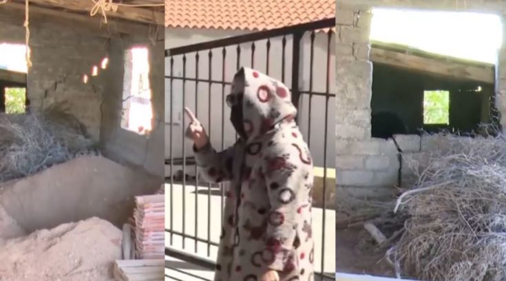 Βοιωτία, 62χρονη, Θήβα, ΚΕΠ