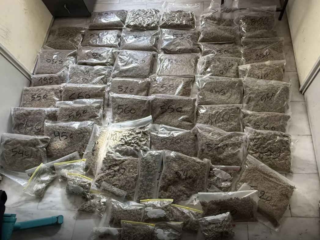 Μαρκόπουλο: Πάνω από 22 κιλά κάνναβης εντοπίστηκαν σε αποθήκη κατά τη διάρκεια αστυνομικής επιχείρησης – Δείτε φωτογραφίες 