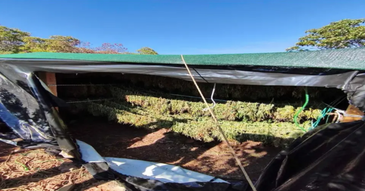 Εξαρθρώθηκε εγκληματική οργάνωση ναρκωτικών