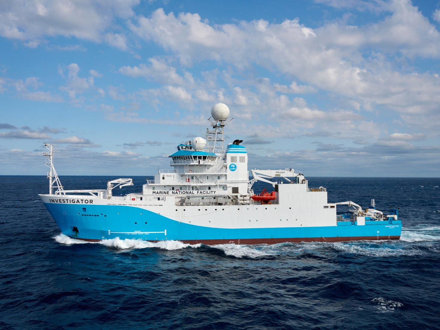 Οι επιστήμονες συντάσσουν μια αυξανόμενη λίστα νέων ειδών από το ταξίδι 2022, στα οποία περιλαμβάνεται ο πρόσφατα χαρακτηρισμένος καρχαρίας “Painted Hornshark”. Φωτογραφία: Frederique Olivier, CSIRO 