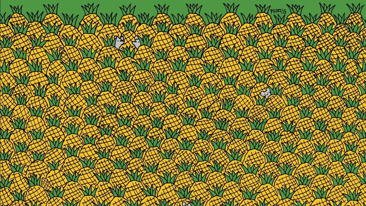 Οπτική ψευδαίσθηση: Μόνο αν είσαι ο Σέρλοκ Χολμς θα βρεις 4 καλαμπόκια σε 8 δευτερόλεπτα