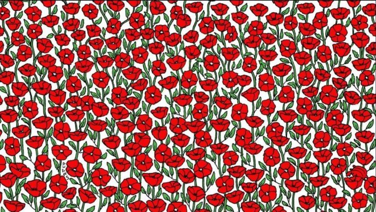 Οπτική ψευδαίσθηση: Μόνο οι πιο έξυπνοι άνθρωποι θα βρουν το καβούρι σε 7 δευτερόλεπτα