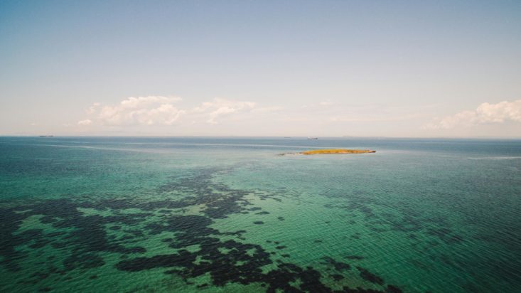 Το 2020, οι άνθρωποι εξαφανίστηκαν ξαφνικά από έναν δημοφιλή κόλπο - Αυτό που ακολούθησε ήταν εκπληκτικό