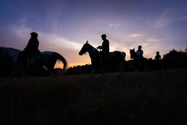Κυνήγι τρούφας με άλογα στα Μετέωρα
