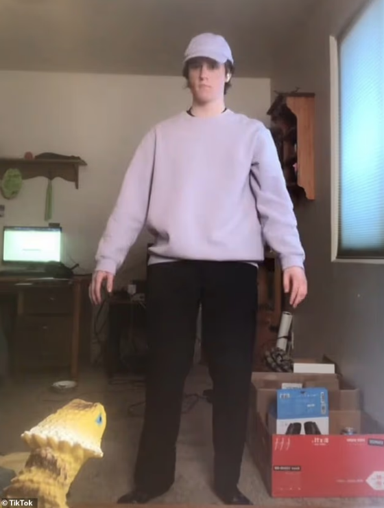 Λανς Τουίγκς