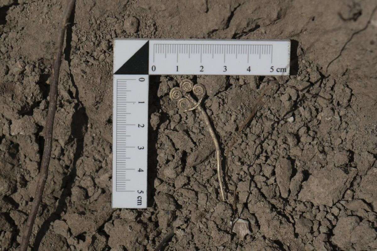 Τεχνουργήματα από τα στρώματα της Τροίας ΙΙ, ανάμεσα στα οποία μια πόρπη 4.500 ετών, όπως παρουσιάστηκαν από τον υπουργό πολιτισμού και τουρισμού της χώρας, Mehmnet Nuri Ersoy στον λογαριασμό του στο Χ