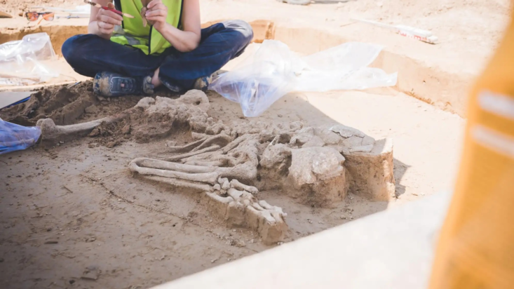 Φωτογραφία: Tennet – dpa