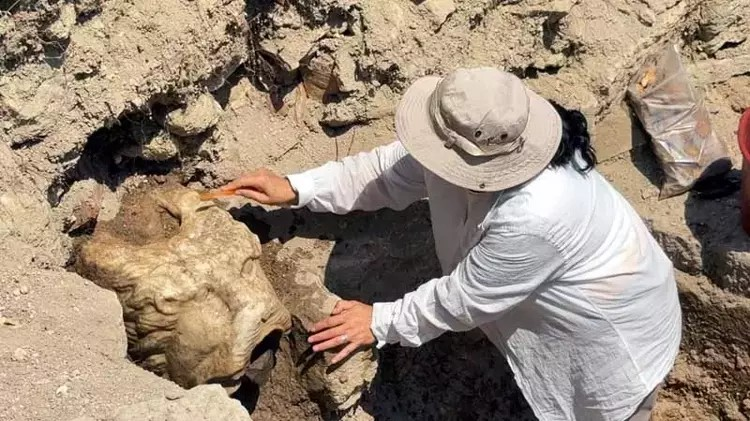 Φωτογραφία: DHA