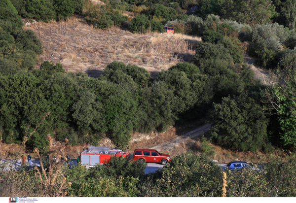 Λάρισα, Γόννοι, Λίρες