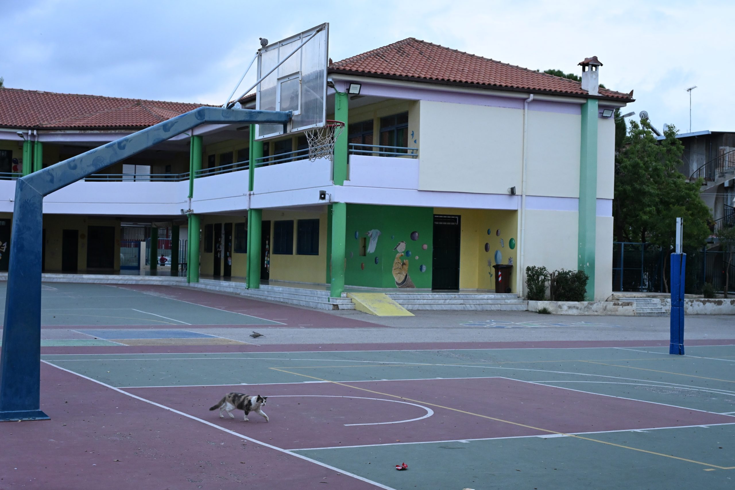 Ασπρόπυργος, 10χρονη, κατάρρευση, σχολείο