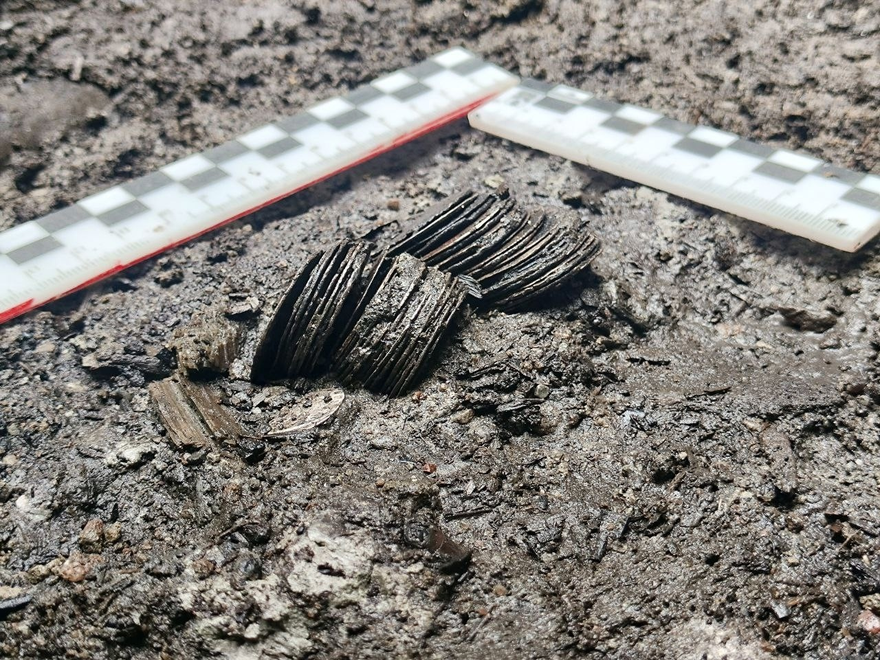 Τα 48 νομίσματα που βρέθηκαν στο Σμολένσκ ήταν θαμμένα σε φρεάτιο.