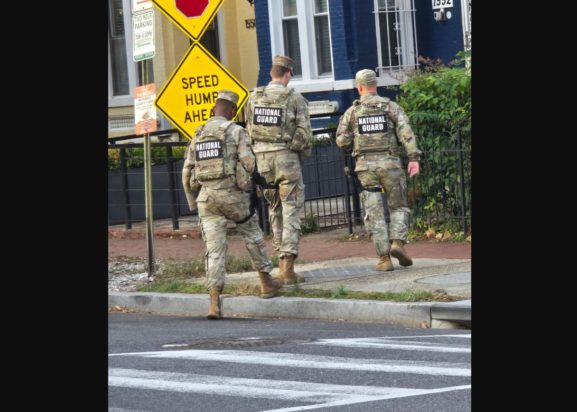 ΕΘΝΟΦΡΟΥΡΑ ΣΑΝ ΦΡΑΣΝΙΣΚΟ