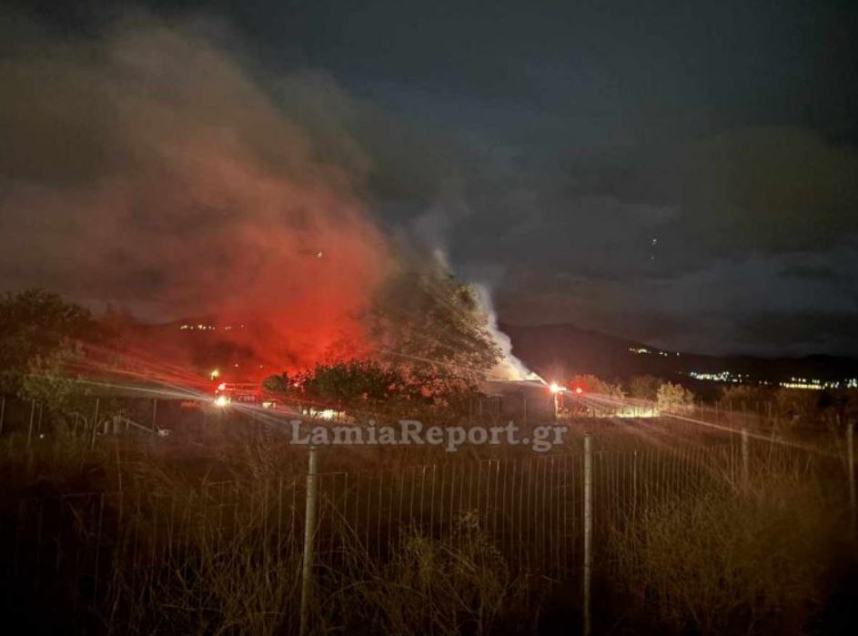 ΦΩΤΙΑ ΜΑΚΡΑΚΩΜΗ