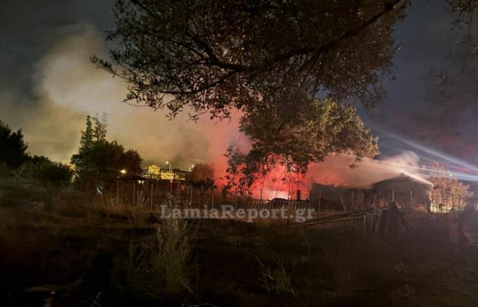 ΦΩΤΙΑ ΜΑΚΡΑΚΩΜΗ