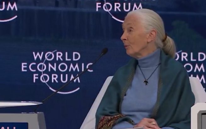 ΤΖΕΙΝ ΓΚΟΥΝΤΟΛ