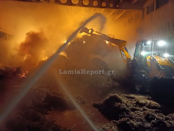 Αυλώνας Αττικής: Μεγάλη καταστροφή σε αποθήκη με ζωοτροφές – Δείτε φωτογραφίες και βίντεο