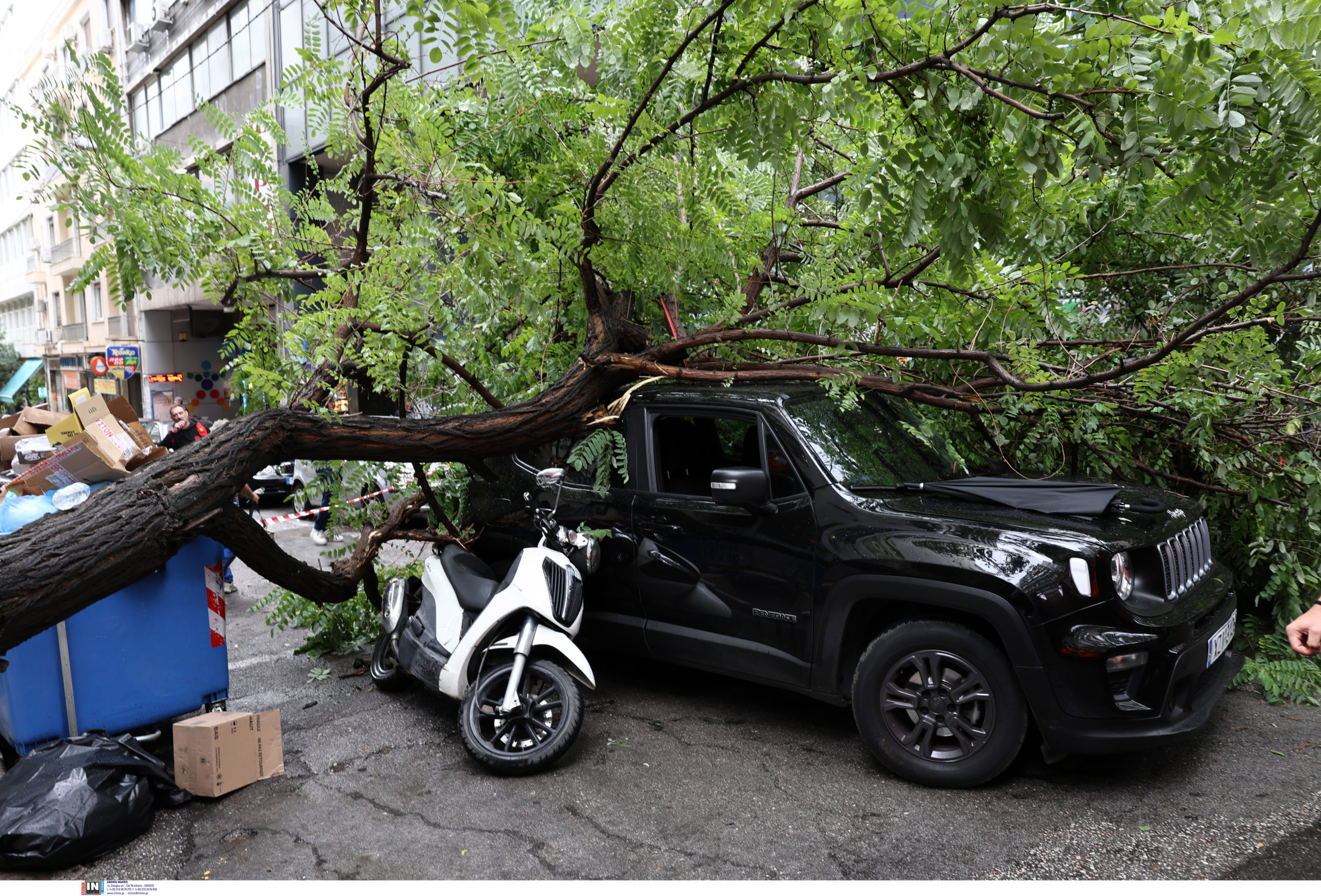 Κακοκαιρία: Προβλήματα στην Αττική από την έντονη βροχόπτωση – Έπεσε δέντρο στην Μπενάκη, πλημμυρισμένοι δρόμοι – ΦΩΤΟ και ΒΙΝΤΕΟ