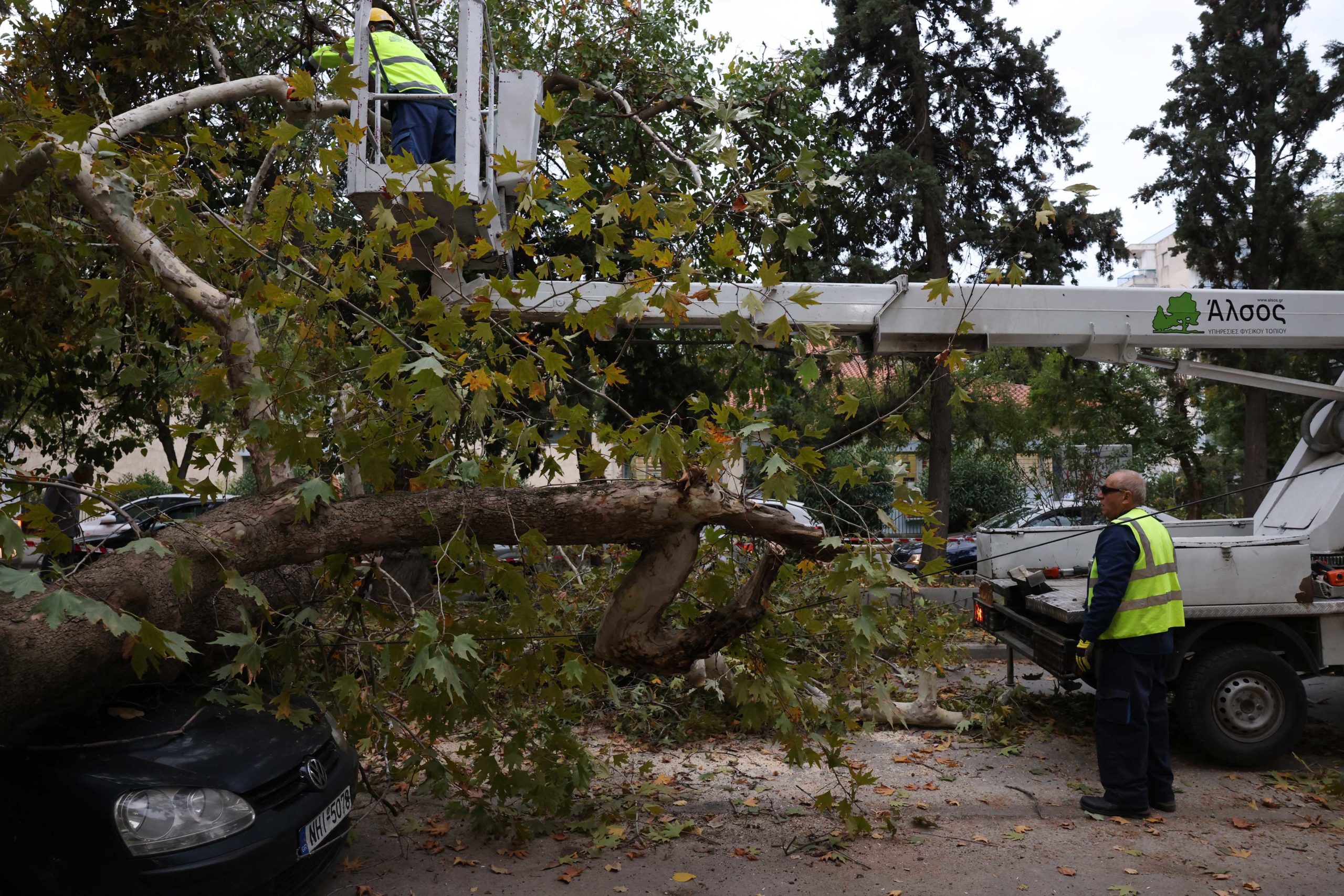 ΠΤΩΣΗ ΔΕΝΤΡΟΥ ΣΕ ΑΥΤΟΚΙΝΗΤΟ ΕΠΙ ΤΗΣ ΟΔΟΥ ΛΑΜΠΡΑΚΗ ΣΤΗ ΘΕΣΣΑΛΟΝΙΚΗ