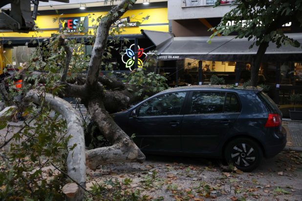 ΠΤΩΣΗ ΔΕΝΤΡΟΥ ΣΕ ΑΥΤΟΚΙΝΗΤΟ ΕΠΙ ΤΗΣ ΟΔΟΥ ΛΑΜΠΡΑΚΗ ΣΤΗ ΘΕΣΣΑΛΟΝΙΚΗ