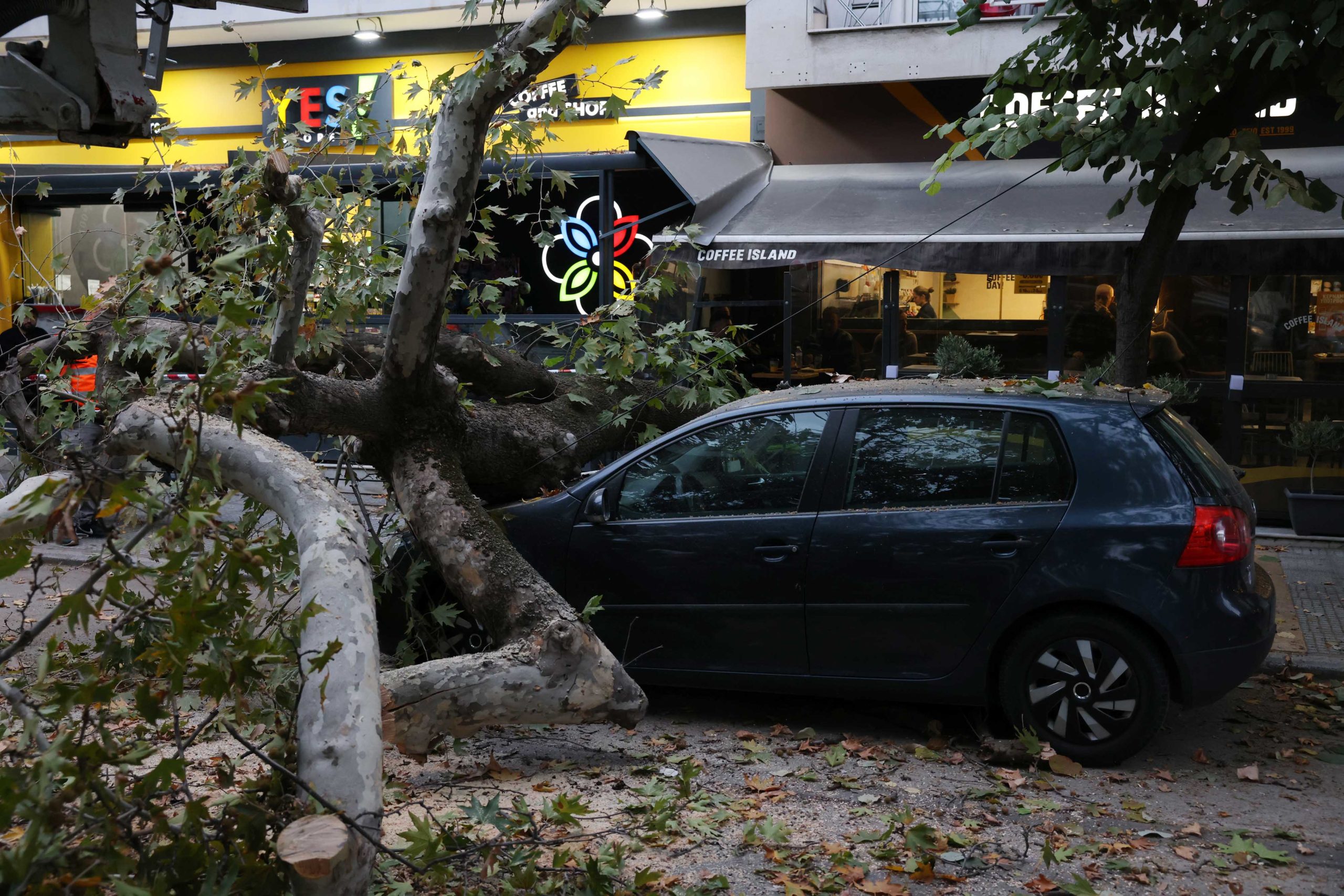 ΠΤΩΣΗ ΔΕΝΤΡΟΥ ΣΕ ΑΥΤΟΚΙΝΗΤΟ ΕΠΙ ΤΗΣ ΟΔΟΥ ΛΑΜΠΡΑΚΗ ΣΤΗ ΘΕΣΣΑΛΟΝΙΚΗ