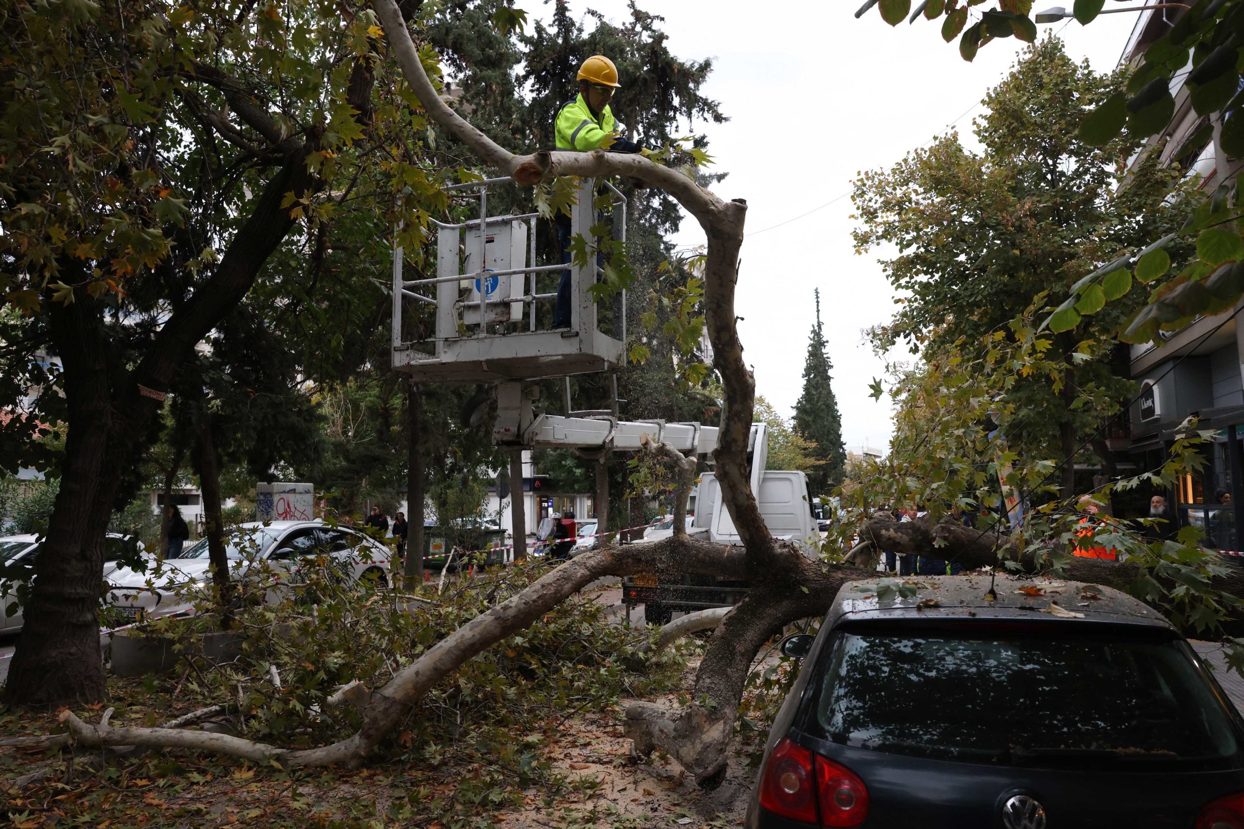 ΠΤΩΣΗ ΔΕΝΤΡΟΥ ΣΕ ΑΥΤΟΚΙΝΗΤΟ ΕΠΙ ΤΗΣ ΟΔΟΥ ΛΑΜΠΡΑΚΗ ΣΤΗ ΘΕΣΣΑΛΟΝΙΚΗ