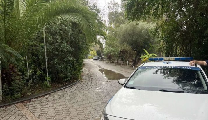 Μεσσηνία Φοινικούντα δολοφονία