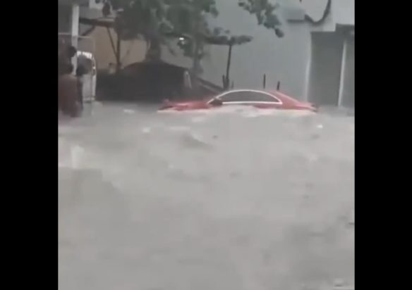 ΤΖΑΜΑΙΚΑ ΜΕΛΙΣΣΑ