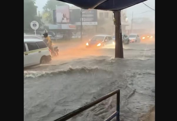 ΚΥΚΛΩΝΑΣ ΜΕΛΙΣΑ MELISSA