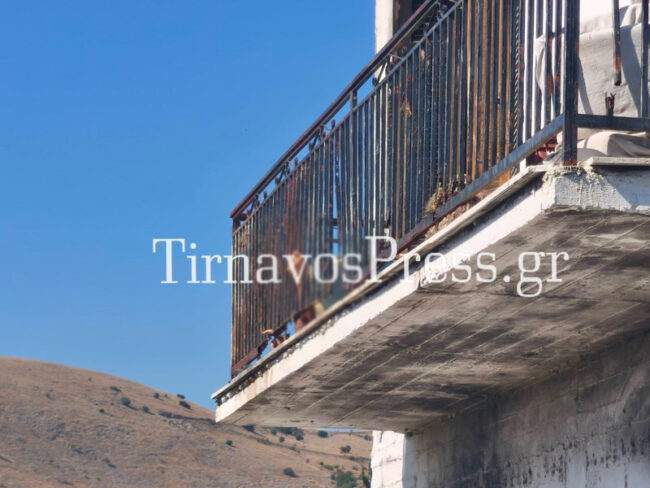 τυρναβοσ νεκροσ