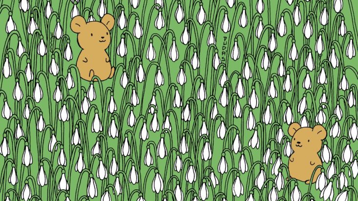 Οπτική ψευδαίσθηση, κάμπιες