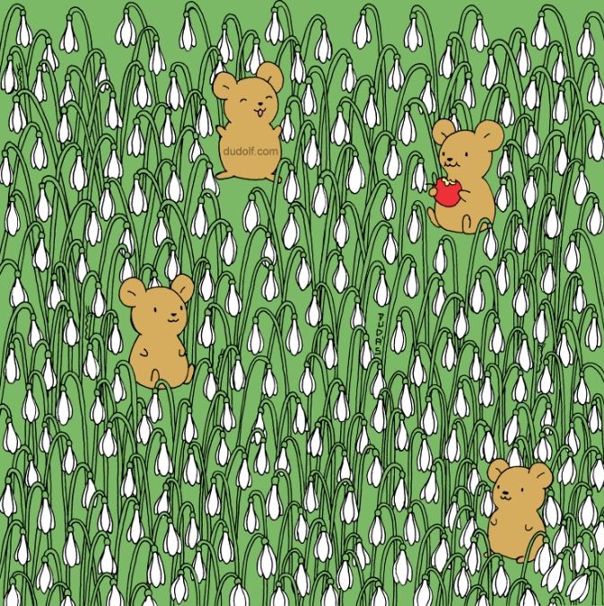 Οπτική ψευδαίσθηση, κάμπιες 