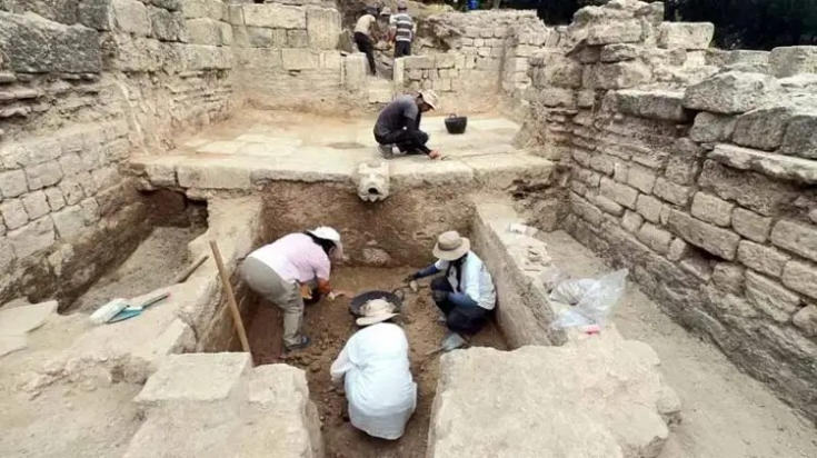 Φωτογραφία: DHA