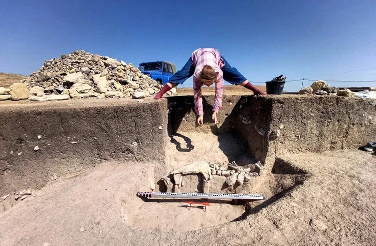 Τελετουργική τάφρος με τα λείψανα αλόγου. Φωτογραφία: Artezian Archaeological Expedition
