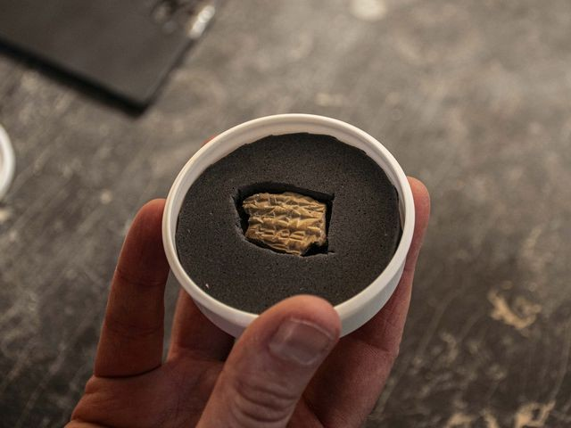 Η ασσυριακή σφραγίδα. Φωτογραφία: Yoli Schwartz, Israel Antiquities Authority