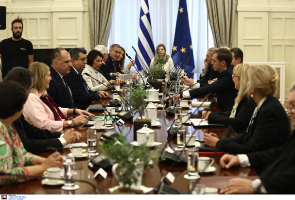 Εθνικό Συμβούλιο Εξωτερικής Πολιτικής Γεραπετρίτης