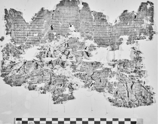 Ο πάπυρος P. Herc. 1018. Φωτογραφία: Biblioteca Nazionale “Vittorio Emanuele III,” Napoli–Consiglio Nazionale delle Ricerche, Istituto di Scienze del Patrimonio Culturale