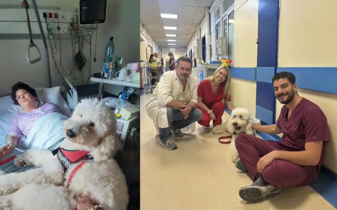 Βαγγέλης σκύλος θεραπευτής