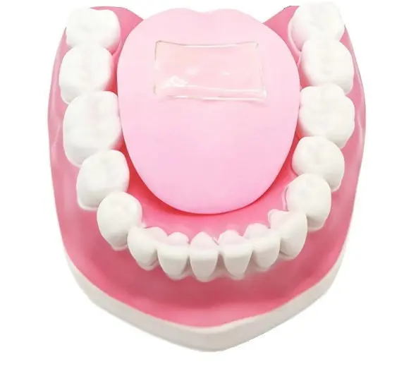 Μια ομάδα ερευνητών στην Κίνα δημιούργησε ένα μικρό διαφανές τετράγωνο μαλακής γέλης που μπορεί να ανιχνεύσει γρήγορα τα επίπεδα μπαχαρικών.Weijun Deng, προσαρμοσμένο από ACS Se / SWNS